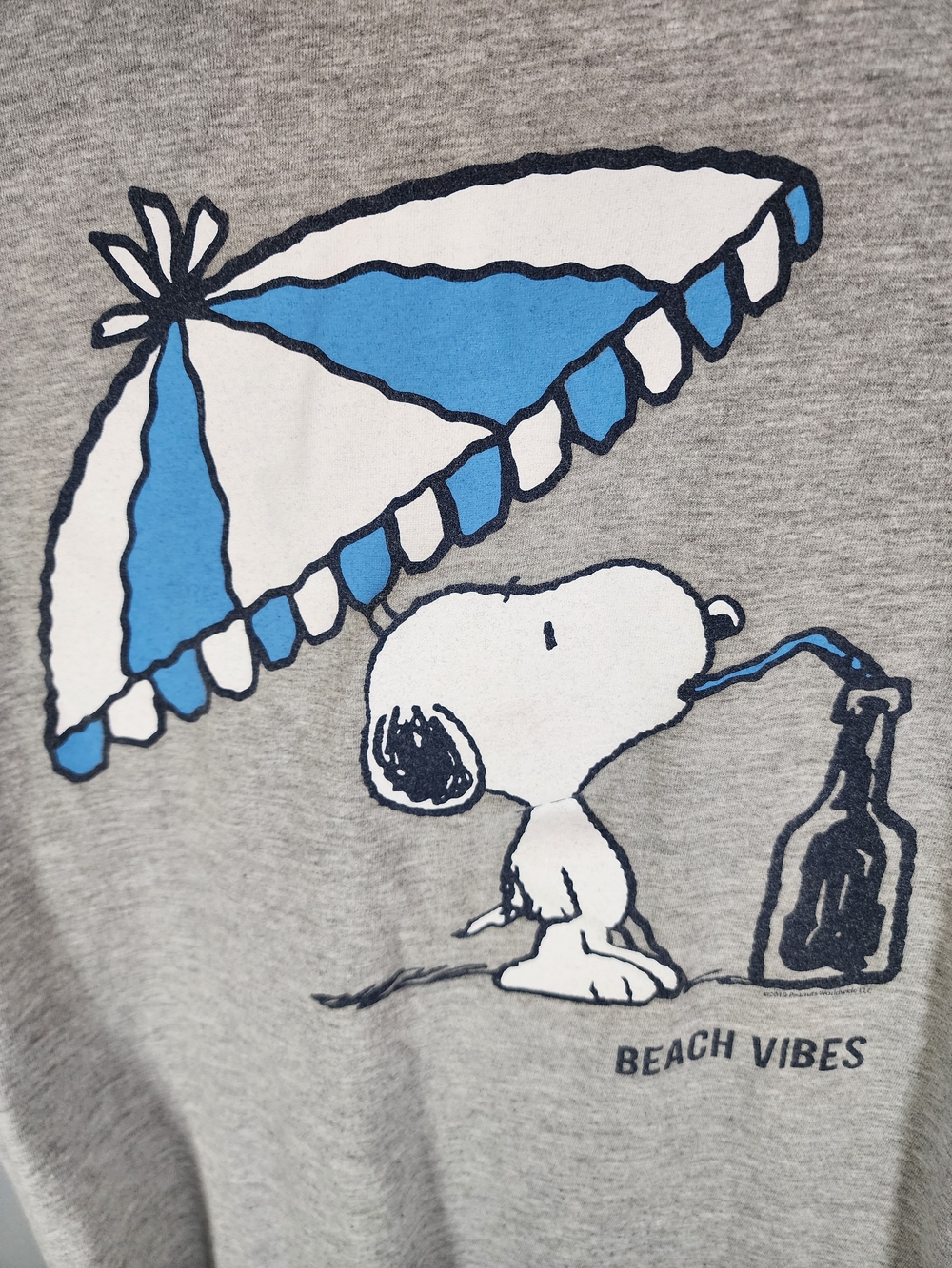 Family Fun Men’s Grey Tee with White Logo Print